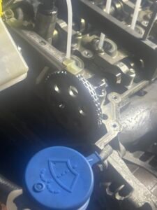 IMG BC47DF8E 854D 40FE 9211 5F2C8827F1BD 225x300